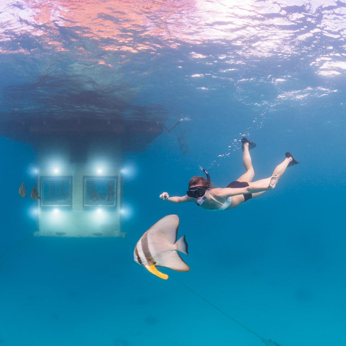 une aventure sensorielle luxueuse autour de l eau en plongeant dans les fonds marin depuis votre chambre